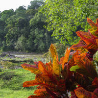 Selva Verde Lodge