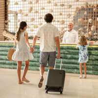 Corazón Cabo Resort & Spa