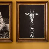 Velona's Jungle Luxury Suites