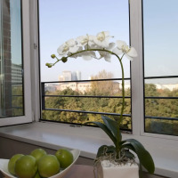 relexa hotel Stuttgarter Hof Berlin