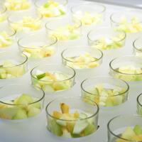 Thon Hotel Brussels City Centre