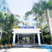 Anesis