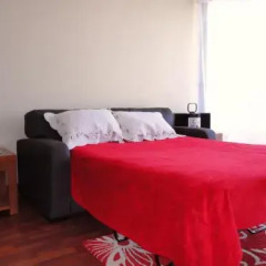 Magnolia Suites Providencia in Santiago, Chile from 231$, photos, reviews - zenhotels.com photo 3
