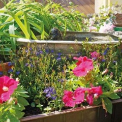 Haus Hilgarth - Bild 7