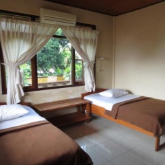 Paradise Palm Beach Bungalows - Bild 7