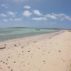 Alisios Beach House - Front Sea View Apartments in Boa Vista, Cape Verde from 87$, photos, reviews - zenhotels.com photo 6