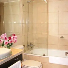 Magnolia Suites Providencia in Santiago, Chile from 231$, photos, reviews - zenhotels.com photo 11