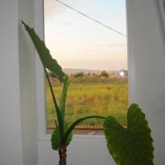 Motel Livija in Veles, Macedonia from 32$, photos, reviews - zenhotels.com photo 8