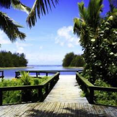 Little Oneroa in Rarotonga, Cook Islands from 500$, photos, reviews - zenhotels.com photo 8