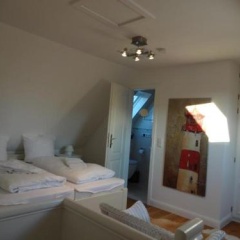 Meeresstern - Bild 1