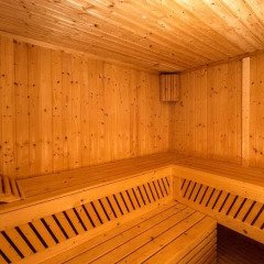 Vila AS in Zabljak, Montenegro from 74$, photos, reviews - zenhotels.com sauna