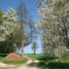 Ferienhof Rieger - Bild 3