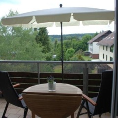 Harz Blick - Bild 4