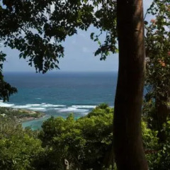 Lime House Villas in Bequia, St. Vincent and the Grenadines from 140$, photos, reviews - zenhotels.com photo 12