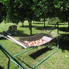 Blue Paradise Pension - Bild 3