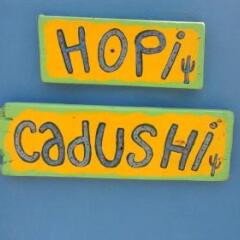 Hopi Cadushi Studio in Santa Cruz, Aruba from 293$, photos, reviews - zenhotels.com photo 6