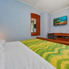 Отель Bed And Breakfast Julia Хорватия, Умаг - отзывы, цены и фото номеров - забронировать отель Bed And Breakfast Julia онлайн комната для гостей фото 3