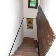 Holiday Home Tijana in Zabljak, Montenegro from 77$, photos, reviews - zenhotels.com hotel interior photo 2