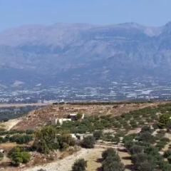 Отель Villas Alexandros Греция, Фаистос - отзывы, цены и фото номеров - забронировать отель Villas Alexandros онлайн фото 11