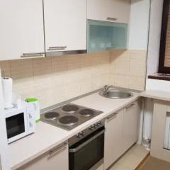 Apartment Sandra in Sarajevo, Bosnia and Herzegovina from 118$, photos, reviews - zenhotels.com photo 8