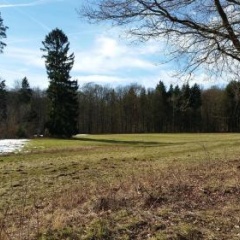 Glamping for Four Persons - Bild 10