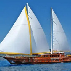 Barbaros Yachting Private Gulet 6 Cabins Турция, Бодрум - отзывы, цены и фото номеров - забронировать отель Barbaros Yachting Private Gulet 6 Cabins онлайн фото 19