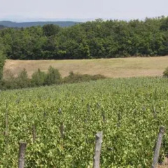 Отель Agriturismo Cielsereno Италия, Казоле д'Эльса - отзывы, цены и фото номеров - забронировать отель Agriturismo Cielsereno онлайн