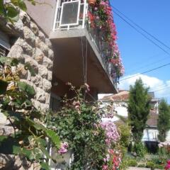 Adzija House in Ohrid, Macedonia from 79$, photos, reviews - zenhotels.com photo 7