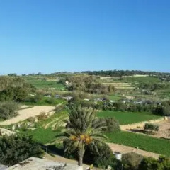 Penthouse Marsaxlokk thumbnail 16