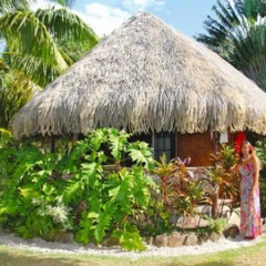 Pension Fare Aute in Moorea, French Polynesia from 230$, photos, reviews - zenhotels.com photo 2