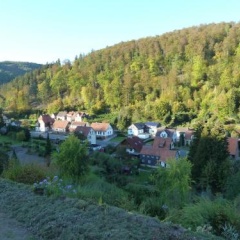 Ferienwohnung Gerken - Bild 11