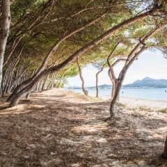 Beach Inn - Bild 1