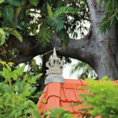 Rumah Beryl - Bild 7