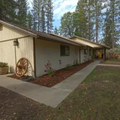 Yosemite's Blue Bird Ranch thumbnail 5