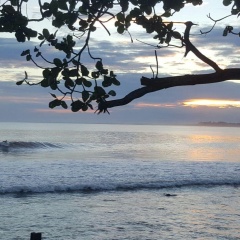 Medewi Beach Cottages - Bild 9