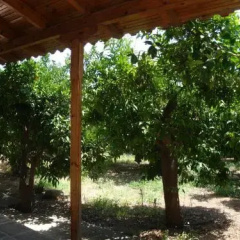 Marilenas Bungalows thumbnail 9