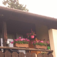 Ferienwohnung Franziska - Bild 7