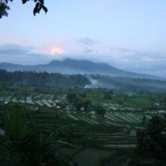 Rumah Imbang Villas - Bild 8