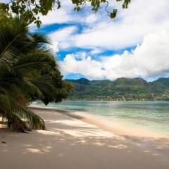 Cerf Sanctuary in Mahe Island, Seychelles from 129$, photos, reviews - zenhotels.com photo 3