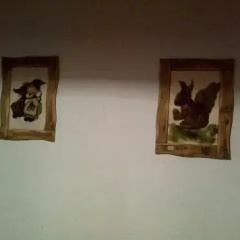 Villa Borca di Cadore thumbnail 11