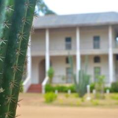 Auberge de Grand Popo in Grand Popo, Benin from 84$, photos, reviews - zenhotels.com hotel front photo 2