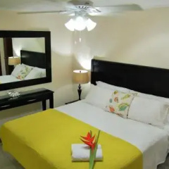 Yellow Cunucu Villa With Pool thumbnail 3