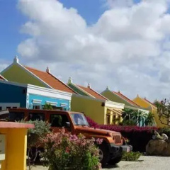 Yellow Cunucu Villa With Pool thumbnail 8