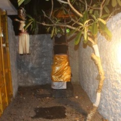 Kubu container - Bild 13