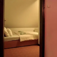 Guest House Vila Pobeda in Vrnjacka Banja, Serbia from 70$, photos, reviews - zenhotels.com photo 6
