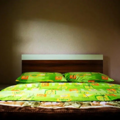 Vila AS in Zabljak, Montenegro from 74$, photos, reviews - zenhotels.com photo 7