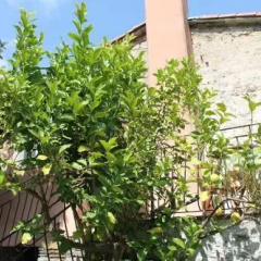Terrazza Sul Golfo thumbnail 1