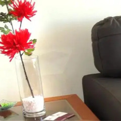 Magnolia Suites Providencia in Santiago, Chile from 231$, photos, reviews - zenhotels.com photo 5
