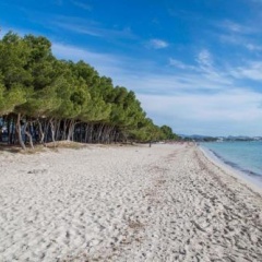 Beach Inn - Bild 8