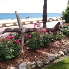 Manuela Beach City thumbnail 10